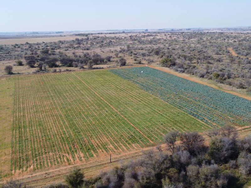 VEILING: 300 Ha, Kroonstad - Photo 10