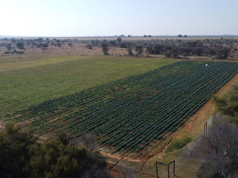 VEILING: 300 Ha, Kroonstad - Photo 9