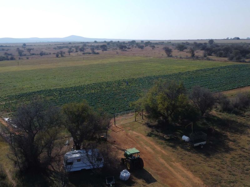 VEILING: 300 Ha, Kroonstad - Photo 8