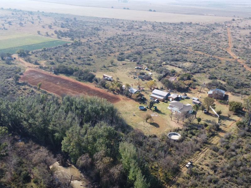 VEILING: 300 Ha, Kroonstad - Photo 6