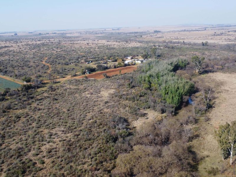 VEILING: 300 Ha, Kroonstad - Photo 5