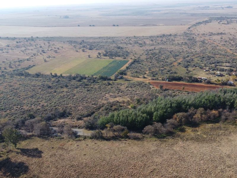 VEILING: 300 Ha, Kroonstad - Photo 3