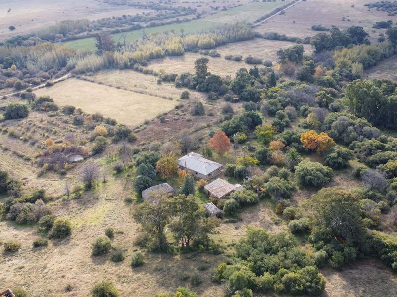 VEILING: 300 Ha, Kroonstad - Photo 2