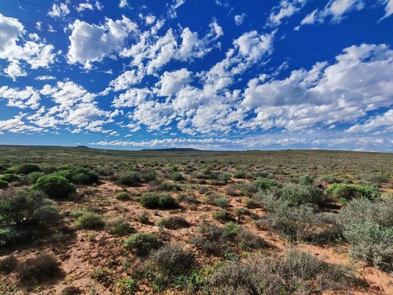Bitterfontein – Namakwaland Veeplaas -  2011 Ha - Photo 1