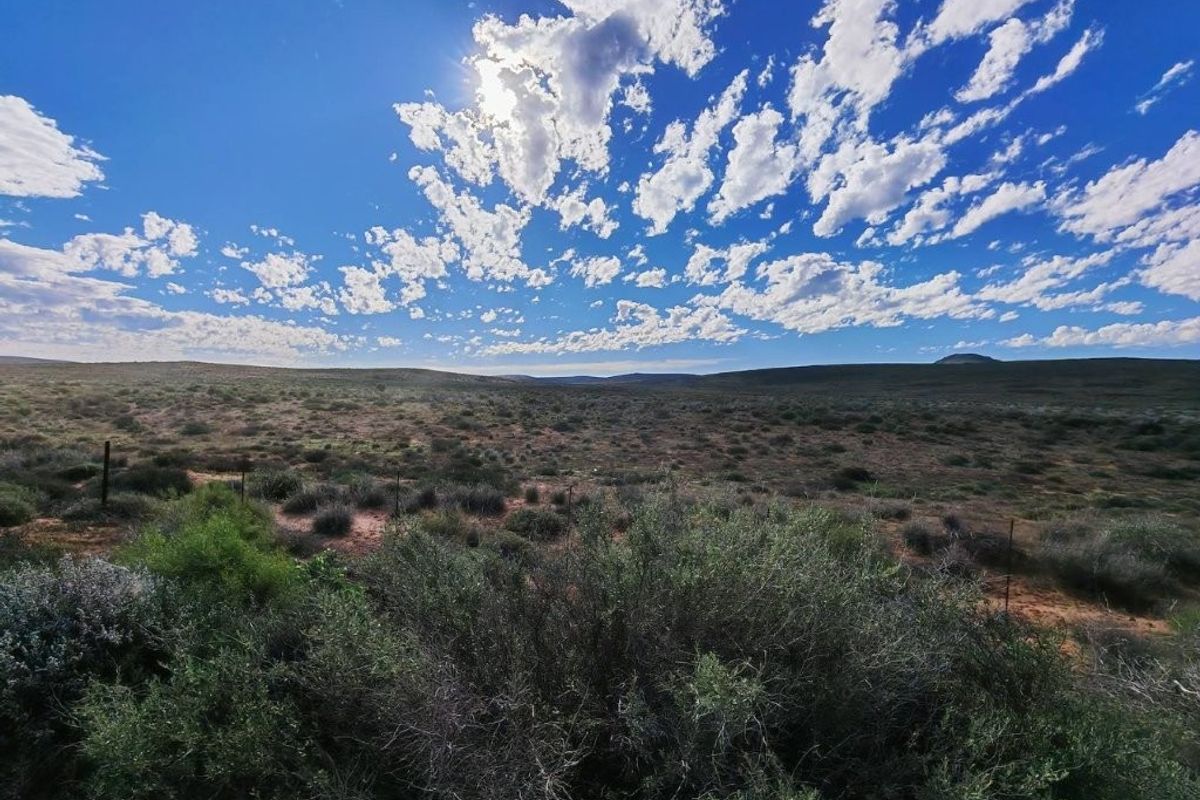 Bitterfontein – Namakwaland Veeplaas -  2011 Ha - Photo 2