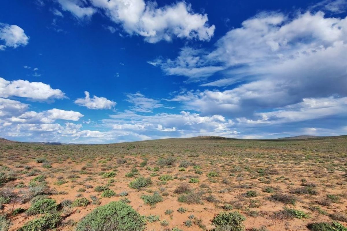 Bitterfontein – Namakwaland Veeplaas -  2011 Ha - Photo 3