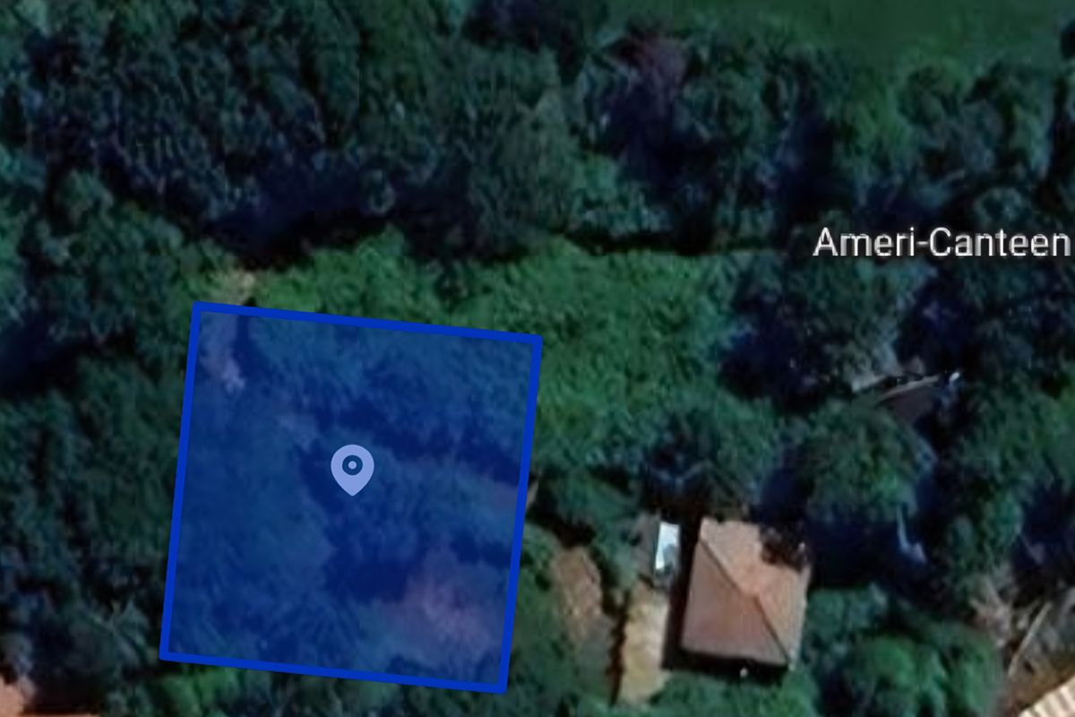 An aerial satellite view showing a plot of land with dense vegetation and a nearby structure.