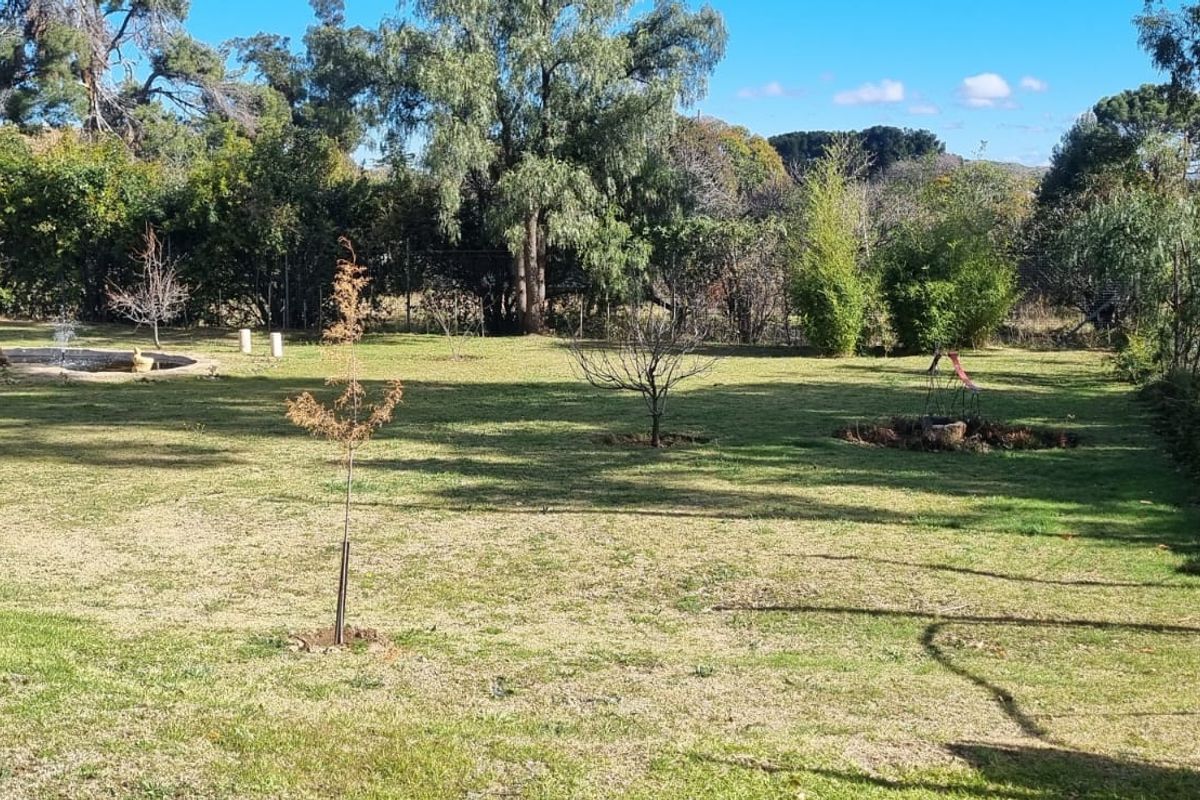 Dual-Home Investment Opportunity with Guesthouse Potential in Mountainous Lady Grey - Photo 5
