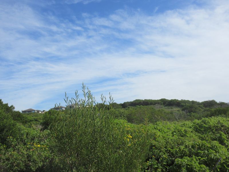 Vacant Land in Emerald Heights, Port Alfred - Photo 9