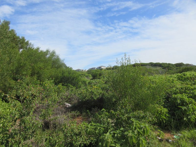 Vacant Land in Emerald Heights, Port Alfred - Photo 6