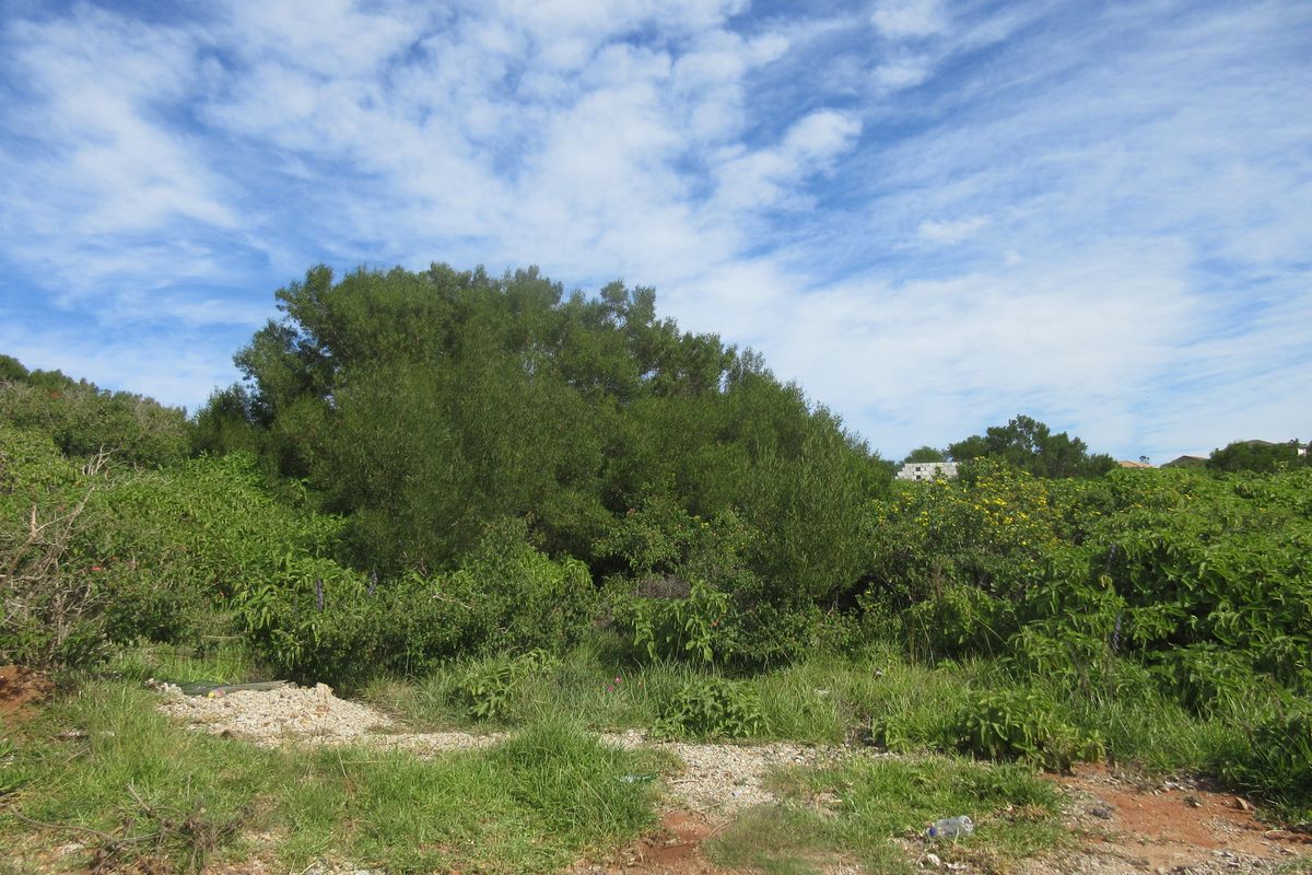 Vacant Land in Emerald Heights, Port Alfred - Photo 4