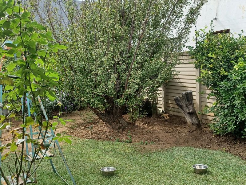 Beautifull 3 bedroom house in quiet area in Lennoxto - Photo 6