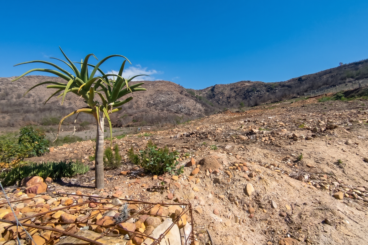 A wide-angle view of a sloped, rocky vacant residential plot featuring natural vegetation and distant mountain scenery.