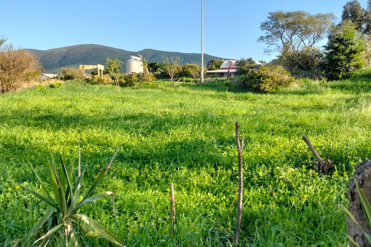 A view of an open, grassy vacant residential plot with surrounding landscape and distant mountain views.