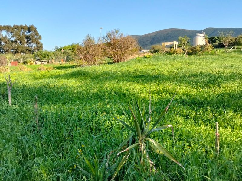A view of a grassy vacant residential plot featuring natural vegetation, a water tank, and scenic mountain views in the background.