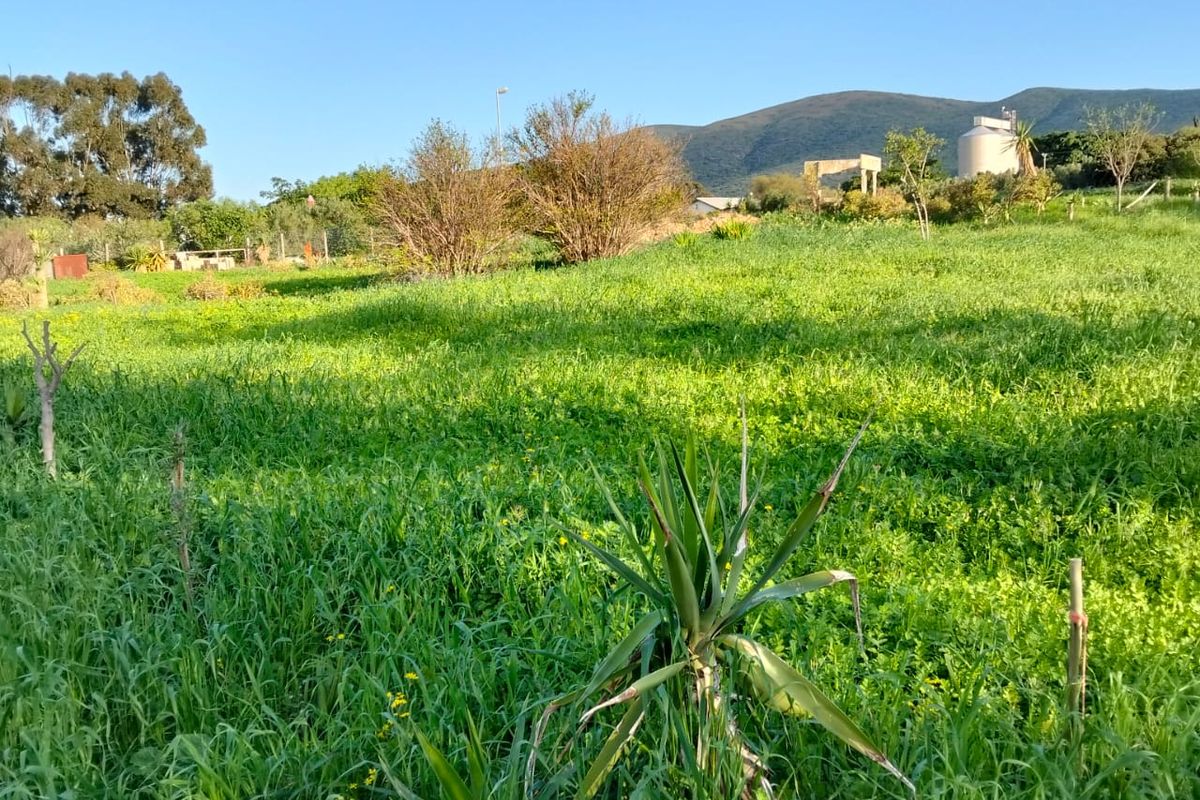 A view of a grassy vacant residential plot featuring natural vegetation, a water tank, and scenic mountain views in the background.