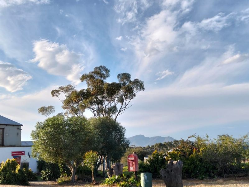 A street-level view of the property frontage featuring mature trees, a postbox, and a gravel verge with mountain views in the distance.