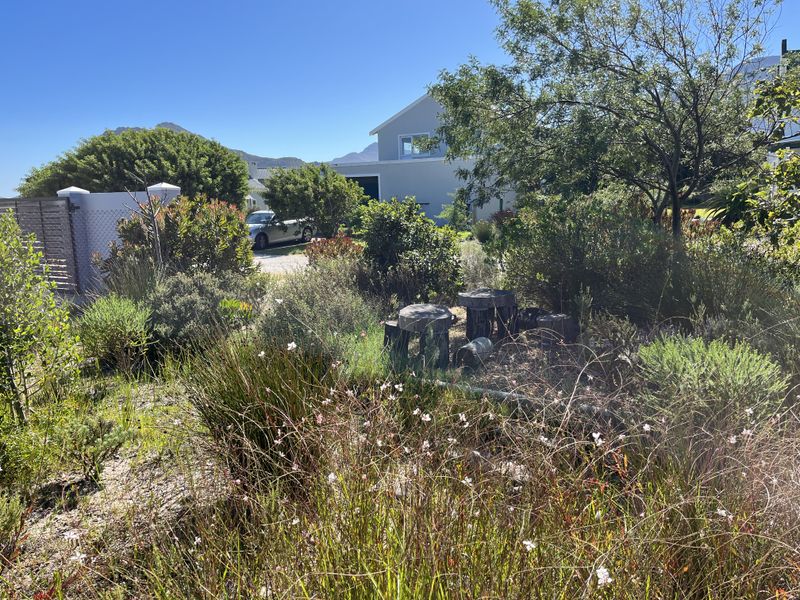 Coastal Charm Meets Tranquil Living – No. 4 Janet Road, Pringle Bay - Photo 4