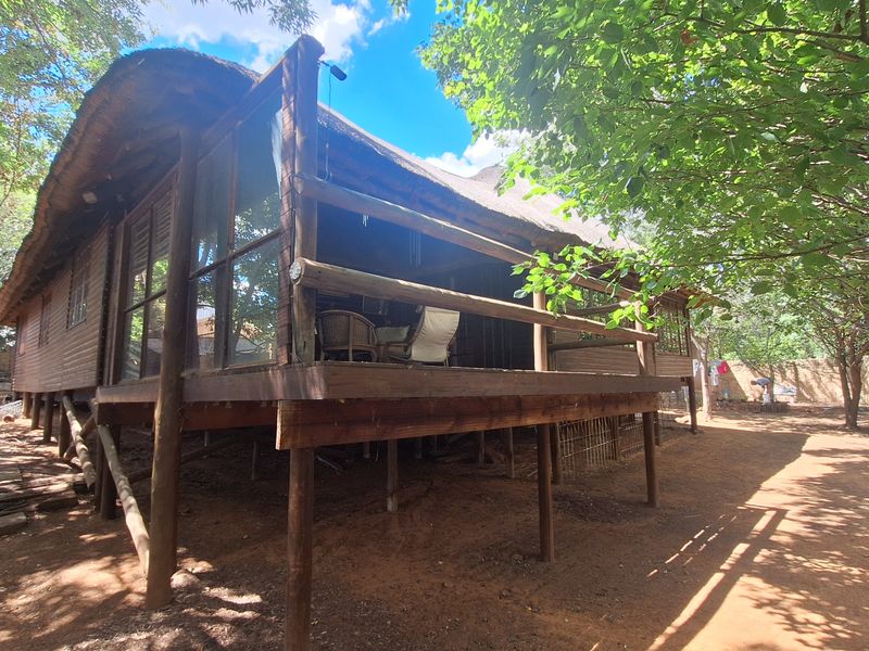 A raised timber deck with a traditional thatch roof, featuring timber support posts and railing, set within a natural, wooded outdoor environment.