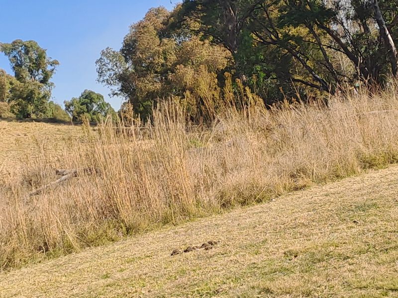 This superb vacant stand is build-ready and perfectly suited for residential living or investment. - Photo 8