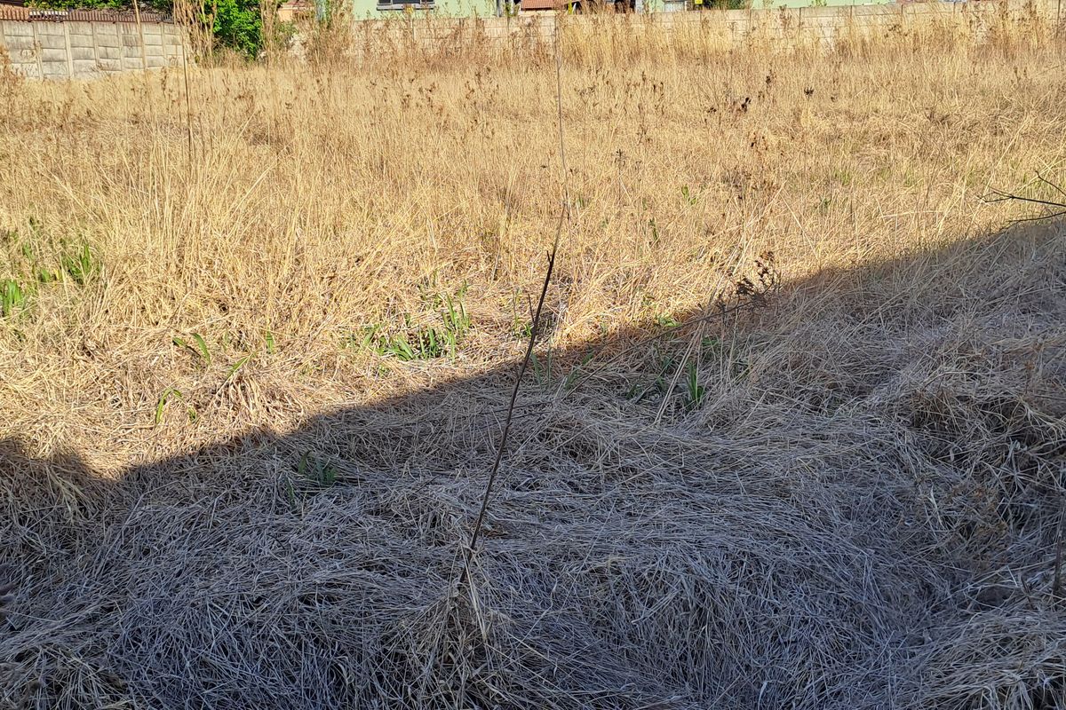 This superb vacant stand is build-ready and perfectly suited for residential living or investment. - Photo 2
