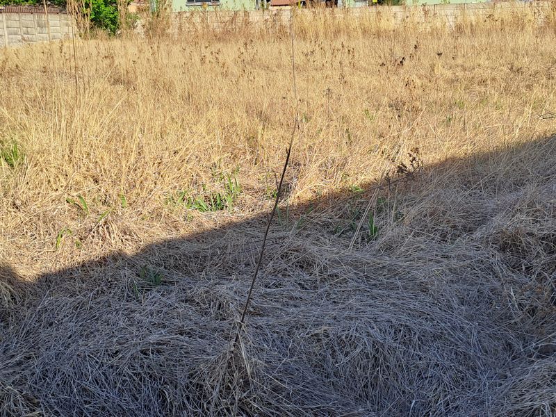 This superb vacant stand is build-ready and perfectly suited for residential living or investment. - Photo 2