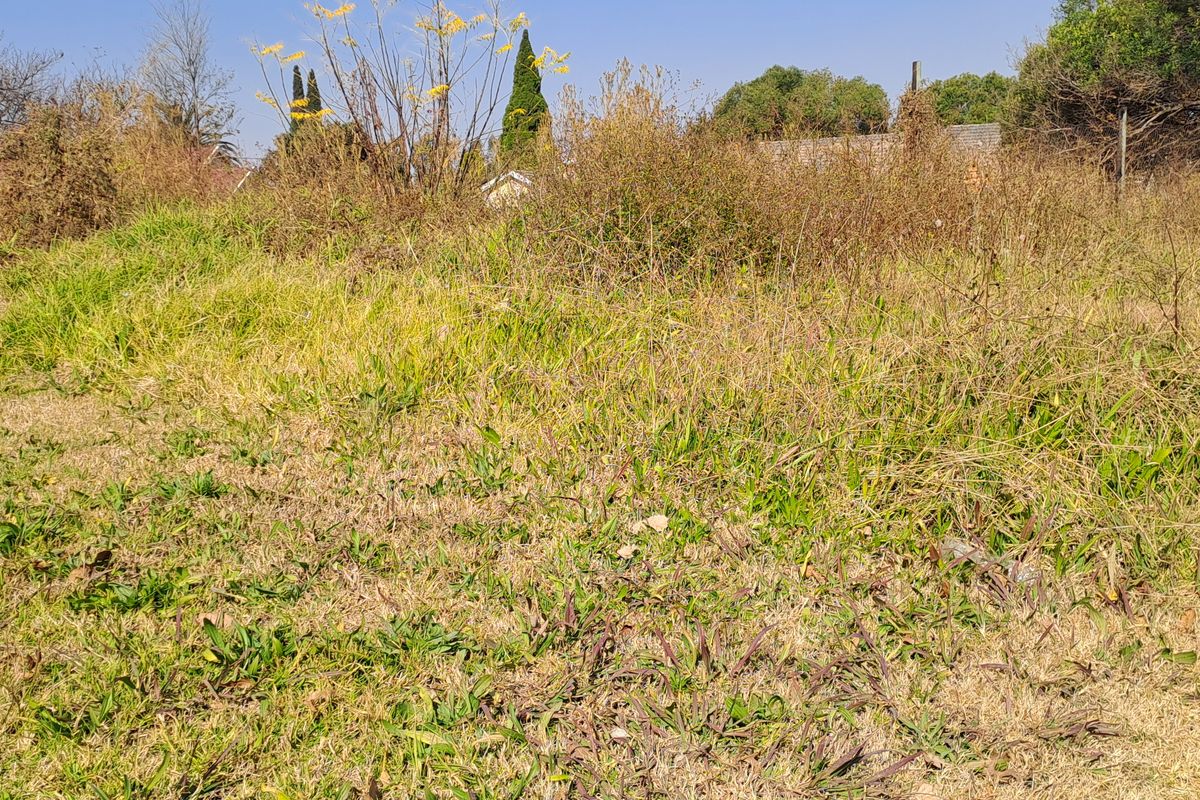 This superb vacant stand is build-ready and perfectly suited for residential living or investment. - Photo 4