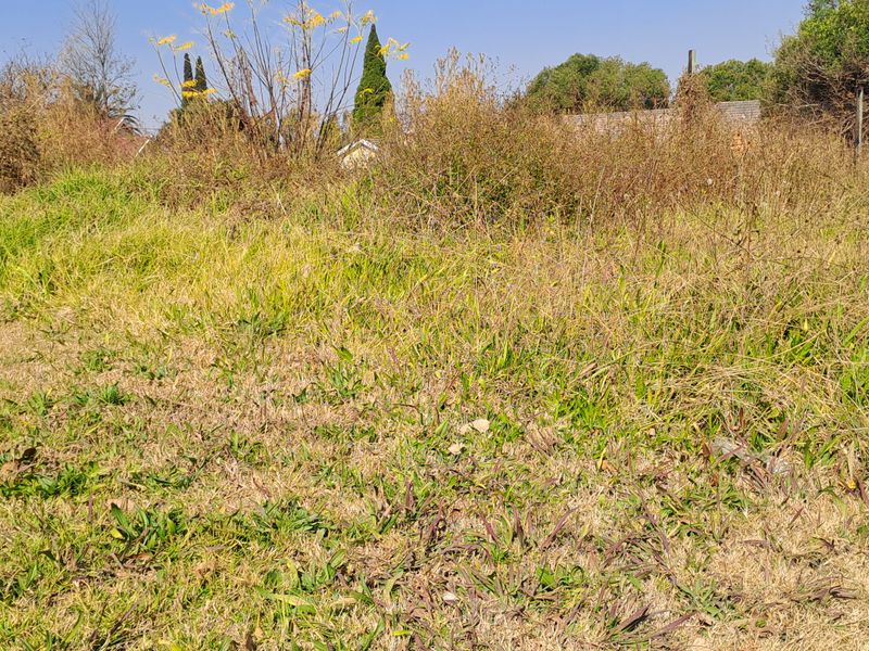 This superb vacant stand is build-ready and perfectly suited for residential living or investment. - Photo 4