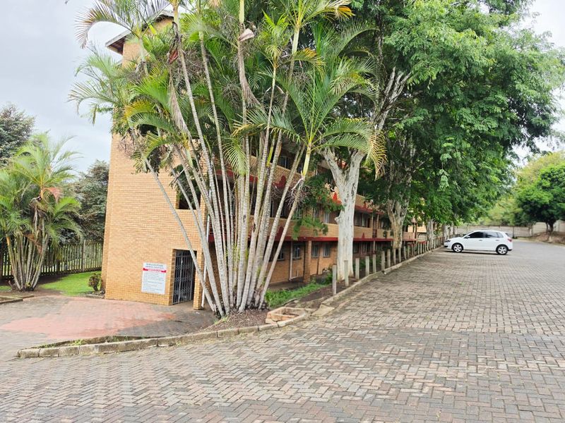 3 bedroom ground floor apartment - Photo 1