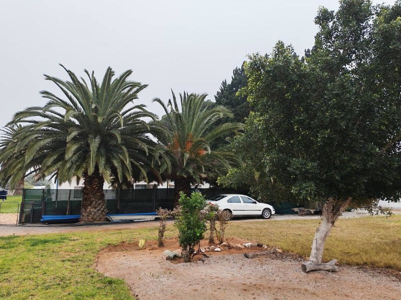 A spacious garden area featuring mature palm trees, established landscaping, and a gravel driveway on the property grounds.
