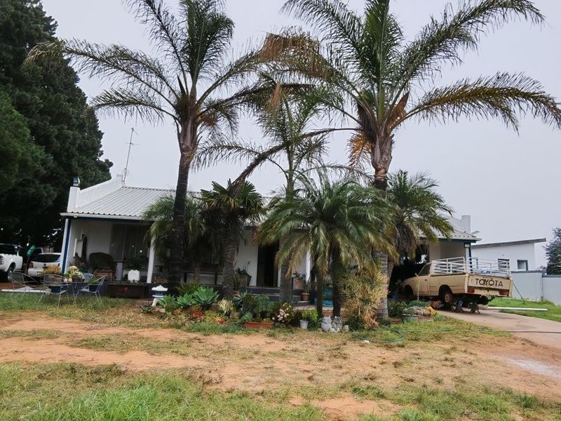 Front elevation of a small holding property featuring a covered veranda, corrugated metal roofing, and established palm trees in a garden setting.