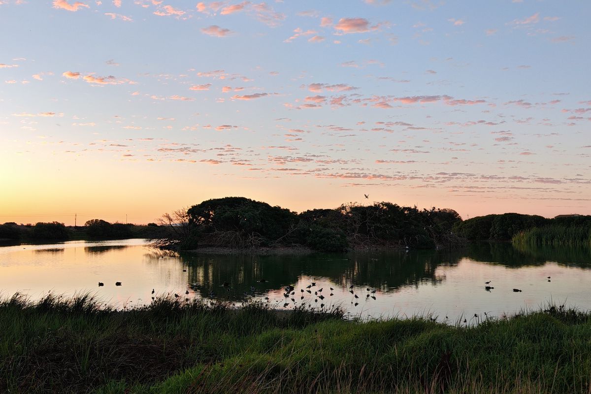 Secure Your Position in Langebaan Country Estate - Photo 2
