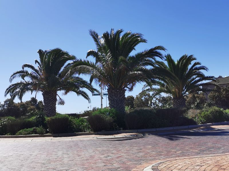 Secure Your Position in Langebaan Country Estate - Photo 7