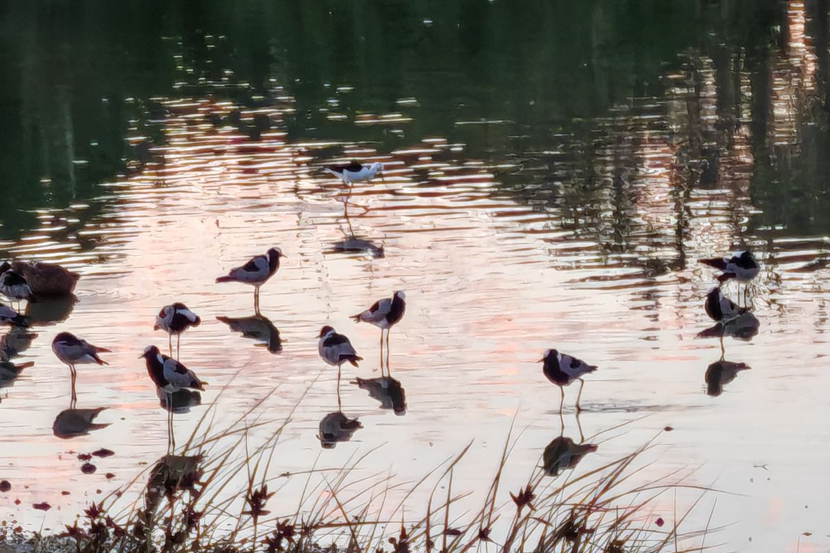 Secure Your Position in Langebaan Country Estate - Photo 4