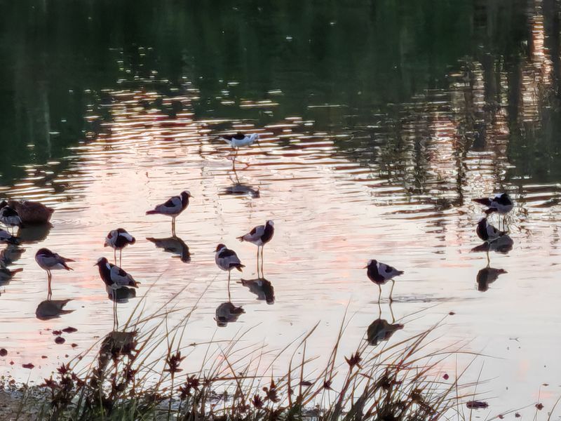 Secure Your Position in Langebaan Country Estate - Photo 4