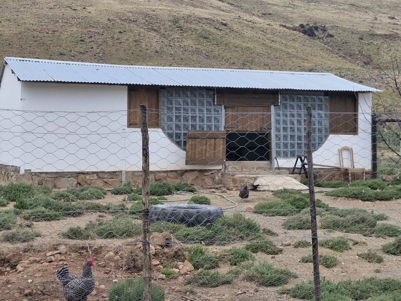 A rustic farm outbuilding featuring a corrugated metal roof, stone foundation, and distinctive glass block windows, set within a fenced rural landscape.