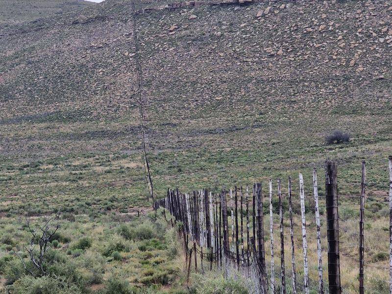 Expansive landscape view of the farm property featuring a long stretch of wire fencing against a mountainous backdrop.