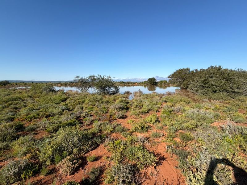 A scenic view of a natural farm dam surrounded by indigenous vegetation and open landscape under a clear blue sky.