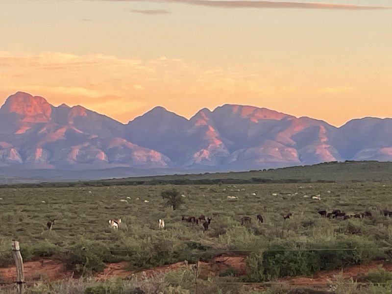 A scenic landscape view of open farm fields with grazing wildlife and a dramatic mountain range backdrop at sunset.