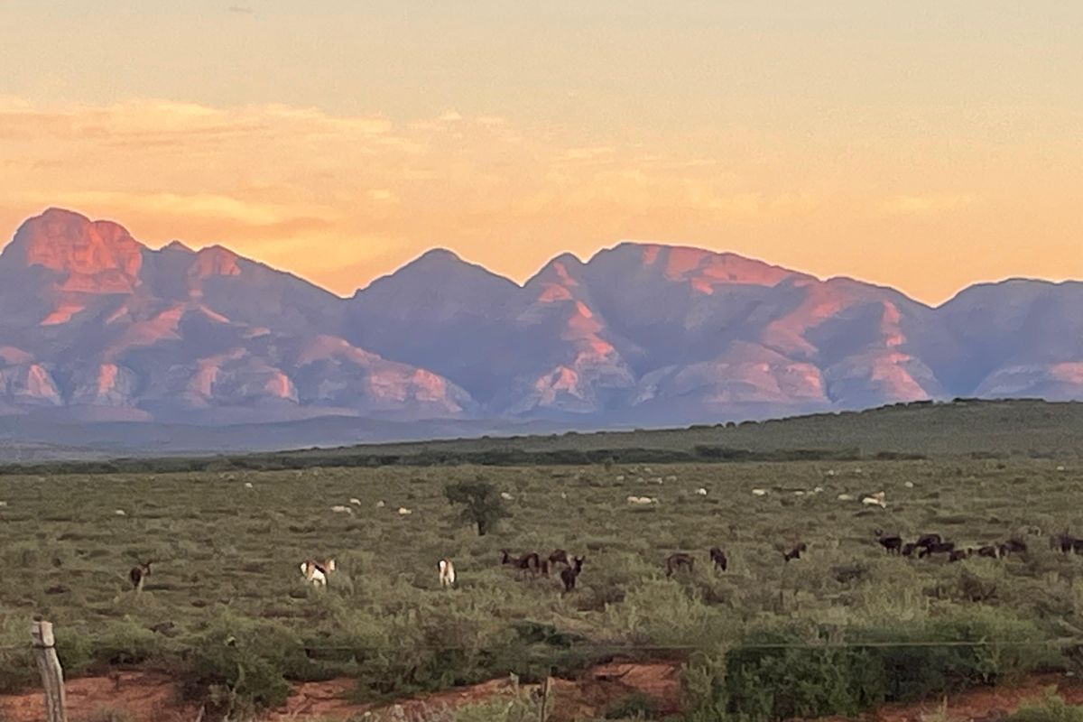 A scenic landscape view of open farm fields with grazing wildlife and a dramatic mountain range backdrop at sunset.