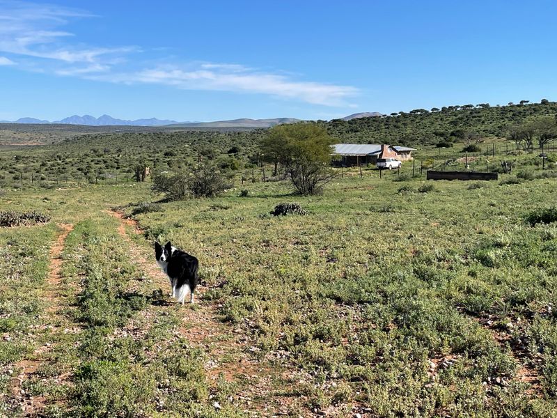 A wide-angle view of the expansive farm landscape featuring natural vegetation, a dirt access track, and distant mountain ranges.