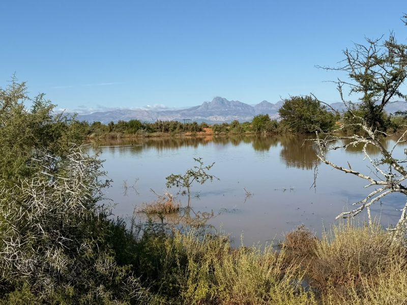 A scenic view of a natural farm dam with mountain ranges in the background, showcasing the tranquil landscape of the property.