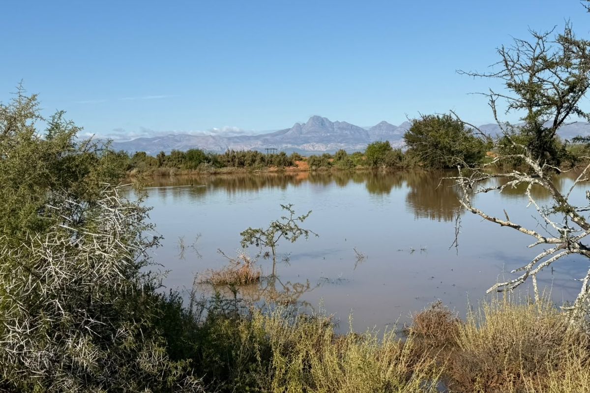 A scenic view of a natural farm dam with mountain ranges in the background, showcasing the tranquil landscape of the property.