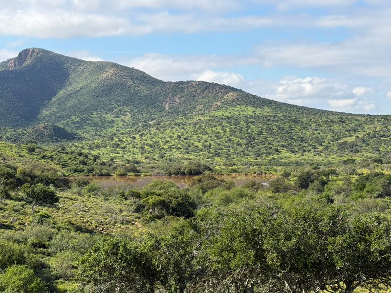 A scenic landscape view featuring rolling green hills, native vegetation, and a natural water body set against a mountain backdrop.
