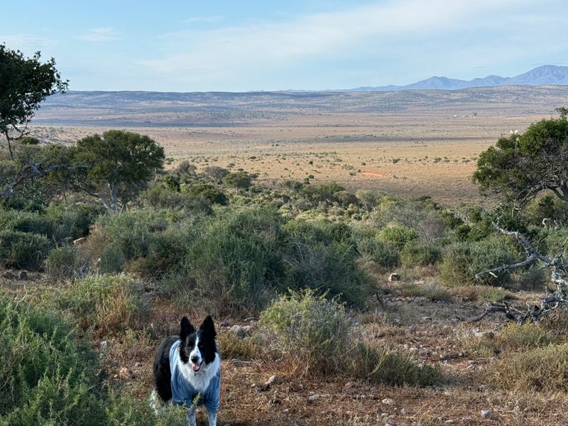 Expansive landscape view overlooking the farm property, showcasing the natural terrain and distant mountain range.