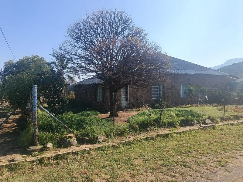 A single-story house featuring stone cladding and a corrugated metal roof, set within a large, unmaintained garden plot with wire fencing.
