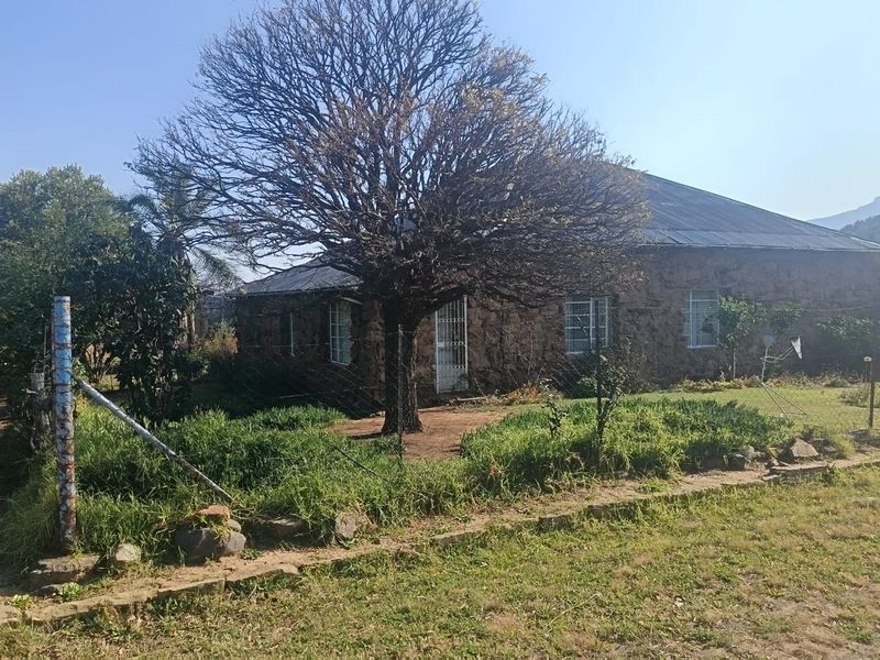 Front view of a stone-walled house with a corrugated metal roof, featuring a large tree and surrounding garden area.