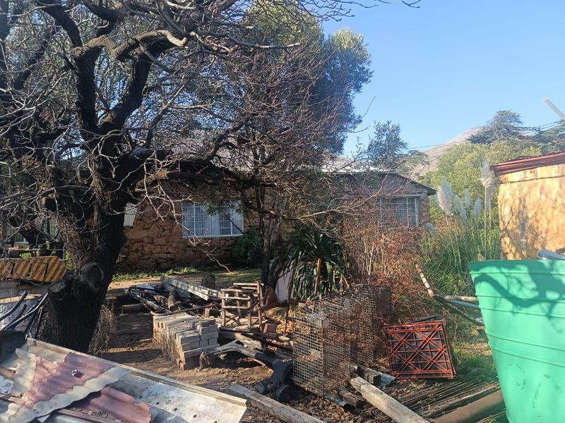 Rear view of a stone-walled house featuring metal window frames and a corrugated roof, set within an overgrown garden area with significant debris.