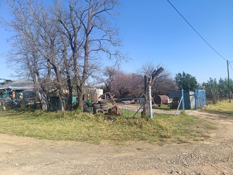Front view of the property showing the entrance area, wire fencing, and access to the grounds with mature trees.