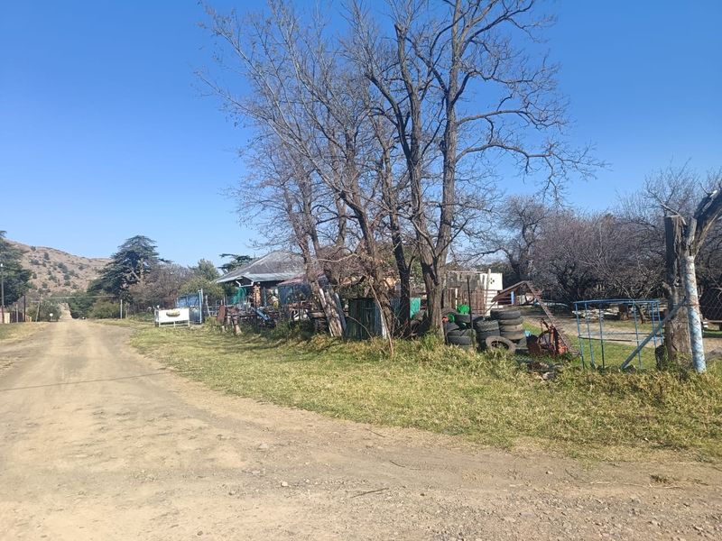 A view of the property frontage from the dirt access road, showing existing fencing and mature trees on the plot.